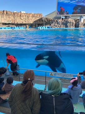 名古屋港水族館に投稿された画像（2024/1/5）