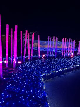 東京メガイルミに投稿された画像（2024/1/5）