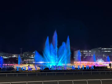 東京メガイルミに投稿された画像（2024/1/5）