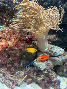 マクセル アクアパーク品川に投稿された画像（2024/1/5）