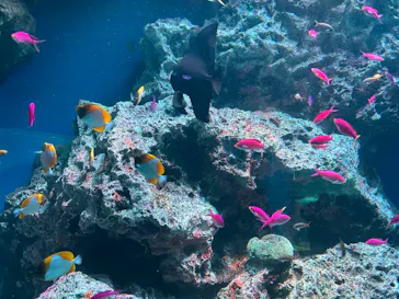 マクセル アクアパーク品川に投稿された画像（2024/1/5）