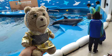仙台うみの杜水族館に投稿された画像（2024/1/5）
