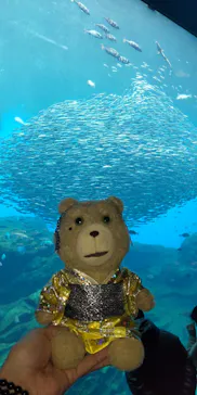 仙台うみの杜水族館に投稿された画像（2024/1/5）