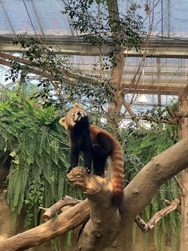 神戸どうぶつ王国に投稿された画像（2024/1/5）