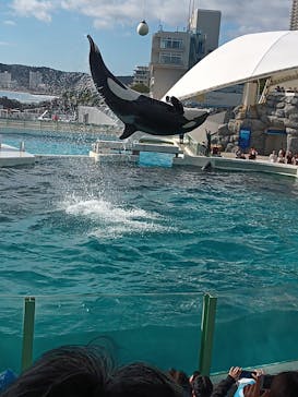 鴨川シーワールドに投稿された画像（2024/1/5）