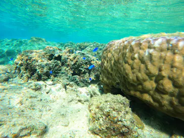 武藤潜水に投稿された画像（2024/1/5）