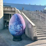 大分マリーンパレス水族館 「うみたまご」に投稿された画像（2024/1/5）