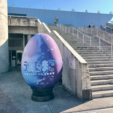 大分マリーンパレス水族館 「うみたまご」に投稿された画像（2024/1/5）