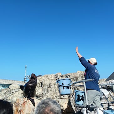 大分マリーンパレス水族館 「うみたまご」に投稿された画像（2024/1/5）