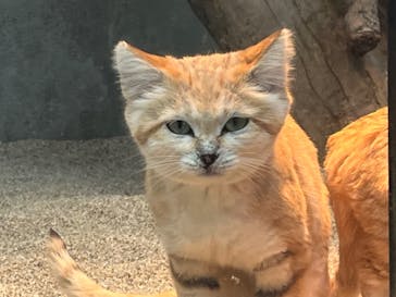 神戸どうぶつ王国に投稿された画像（2024/1/5）