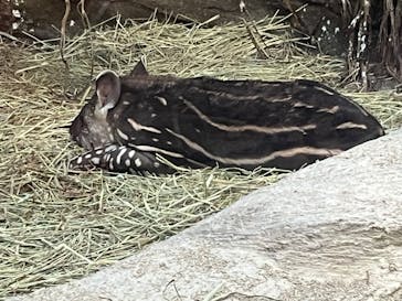 神戸どうぶつ王国に投稿された画像（2024/1/5）