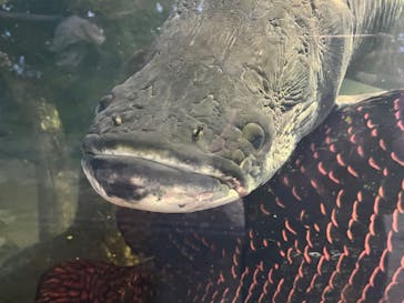 神戸どうぶつ王国に投稿された画像（2024/1/5）