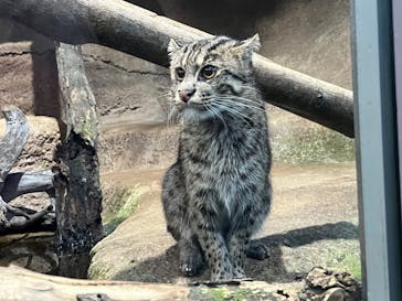 神戸どうぶつ王国に投稿された画像（2024/1/5）