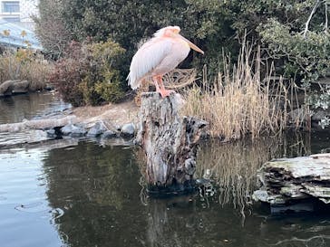 神戸どうぶつ王国に投稿された画像（2024/1/5）