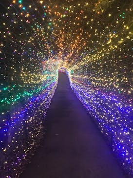 伊豆ぐらんぱる公園に投稿された画像（2024/1/5）