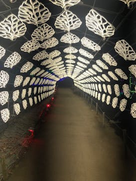 伊豆ぐらんぱる公園に投稿された画像（2024/1/5）