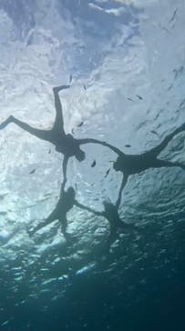 石垣島 ADVENTURE PiPi（イシガキジマアドベンチャーピピ）に投稿された画像（2024/1/5）