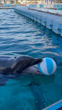 横浜・八景島シーパラダイスに投稿された画像（2024/1/5）