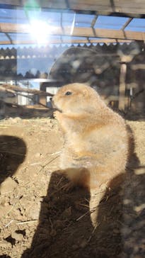 那須どうぶつ王国に投稿された画像（2024/1/5）