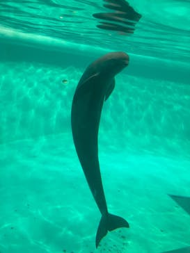 マリンワールド海の中道に投稿された画像（2024/1/5）