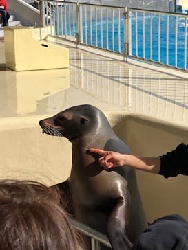 マリンワールド海の中道に投稿された画像（2024/1/5）