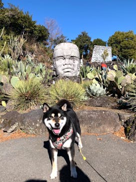 伊豆シャボテン動物公園に投稿された画像（2024/1/5）