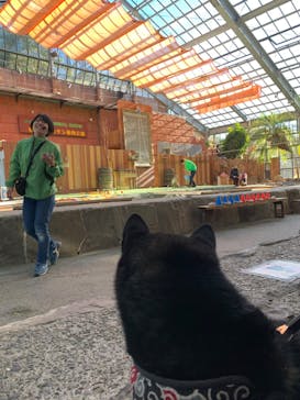 伊豆シャボテン動物公園に投稿された画像（2024/1/5）