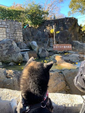 伊豆シャボテン動物公園に投稿された画像（2024/1/5）