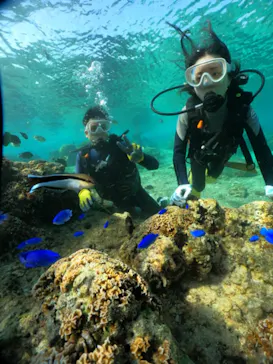 武藤潜水に投稿された画像（2024/1/5）