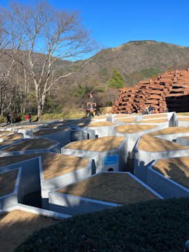 彫刻の森美術館に投稿された画像（2024/1/5）