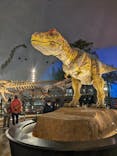 福井県立恐竜博物館に投稿された画像（2024/1/5）
