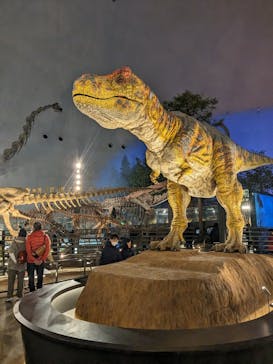 福井県立恐竜博物館に投稿された画像（2024/1/5）