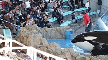 名古屋港水族館に投稿された画像（2024/1/5）