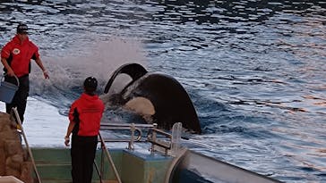 名古屋港水族館に投稿された画像（2024/1/5）
