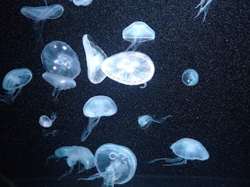 AOAO SAPPOROに投稿された画像（2024/1/5）