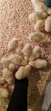 Moff animal cafe イオンモール幕張新都心店に投稿された画像（2024/1/5）