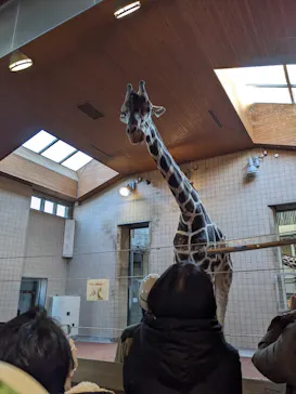 天王寺動物園に投稿された画像（2024/1/5）