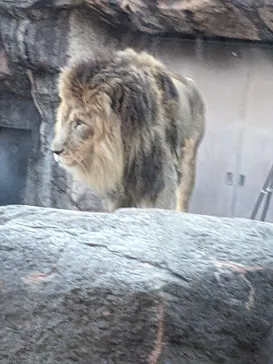 天王寺動物園に投稿された画像（2024/1/5）