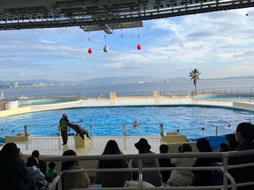 マリンワールド海の中道に投稿された画像（2024/1/5）