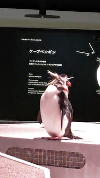 AOAO SAPPOROに投稿された画像（2024/1/5）