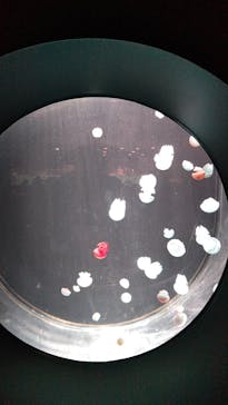 AOAO SAPPOROに投稿された画像（2024/1/5）