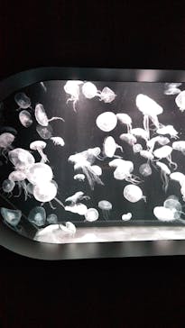 AOAO SAPPOROに投稿された画像（2024/1/5）