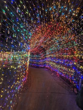 伊豆ぐらんぱる公園に投稿された画像（2024/1/5）