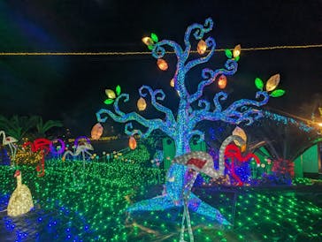 伊豆ぐらんぱる公園に投稿された画像（2024/1/5）