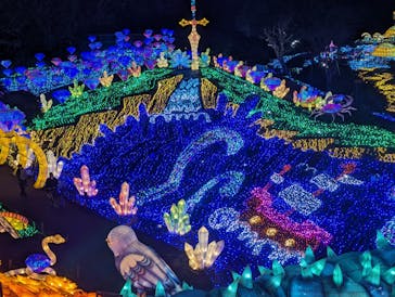 伊豆ぐらんぱる公園に投稿された画像（2024/1/5）