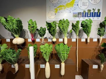 特別展「和食 ～日本の自然、人々の知恵～」に投稿された画像（2024/1/5）