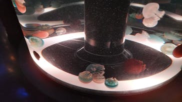 サンシャイン水族館に投稿された画像（2024/1/5）