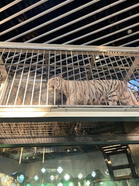 NIFREL（ニフレル）に投稿された画像（2024/1/5）