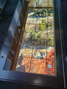 東京タワーに投稿された画像（2024/1/5）