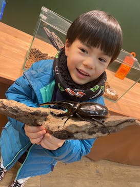 淡路ファームパーク イングランドの丘に投稿された画像（2024/1/5）